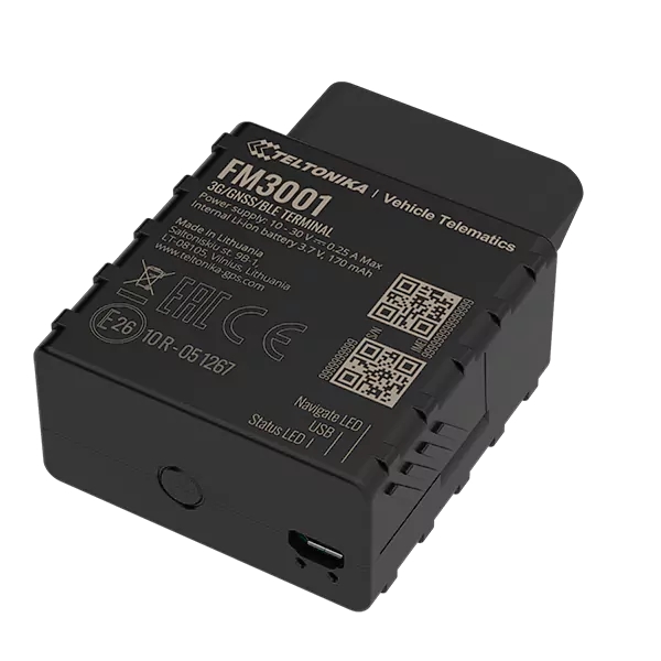 Teltonika FM3001 (3G)